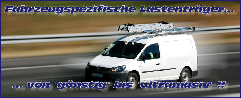 Fahrzeugspezifischer Dachträger