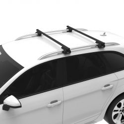 Dachträger Opel Combo D, (2012 bis 2018)  - Cruz Lane Fix Feet - Dachträger für hochstehender Dachreling
