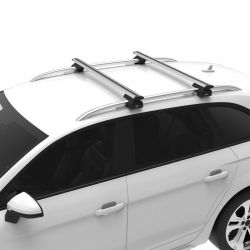 Audi A4 Allroad (B8) (2009 bis 2016)  - Cruz Airo Lane Fix Feet - Aluminium Dachträger für hochstehender Dachreling