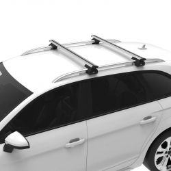 Maxus  T60 (Doppelkabine/Double Cap)  (mit Dachreling) (2017 bis  ... ) - Cruz Lane Fix Feet - Dachträger für hochstehender Dachreling
